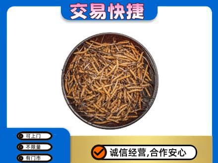 十堰高价回收散虫草